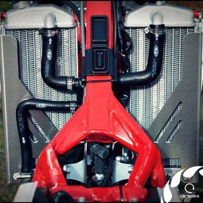 Radiator Guard Beta 250/300 RR MY2014-2017