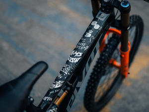 AMS Frame Guard - White Series